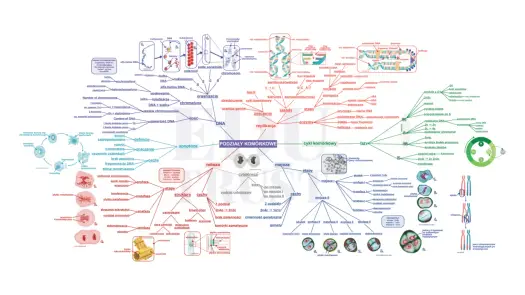 Matura z biologii - Dlaczego teoria to za mało i jak ułożyć plan?