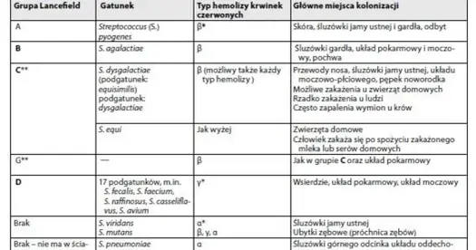 Paciorkowiec - kiedy jest groźny? GAS, GBS - objawy i leczenie