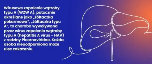 WZW typu A - objawy, leczenie, profilaktyka i szczepienia