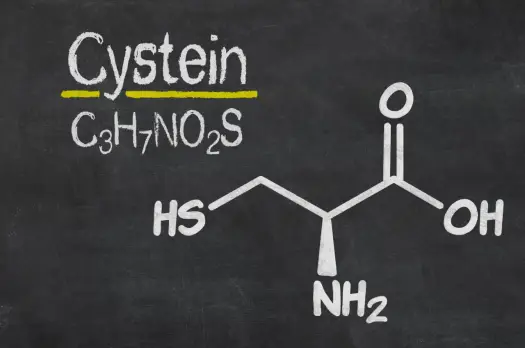Cysteina - aminokwas czy marketing? Poznaj prawdę o suplementach