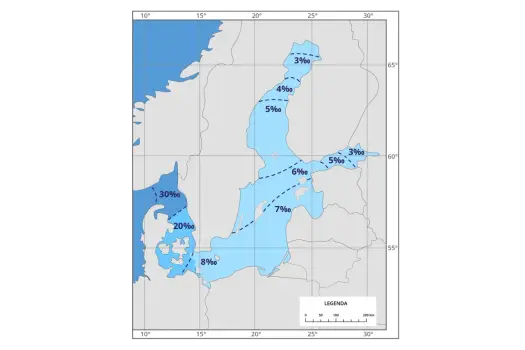 Jak słony jest Bałtyk? Poznaj fakty i przyczyny niskiego zasolenia