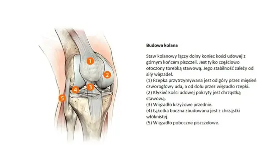 Choroba zwyrodnieniowa stawów - jak rozpoznać i co pomaga