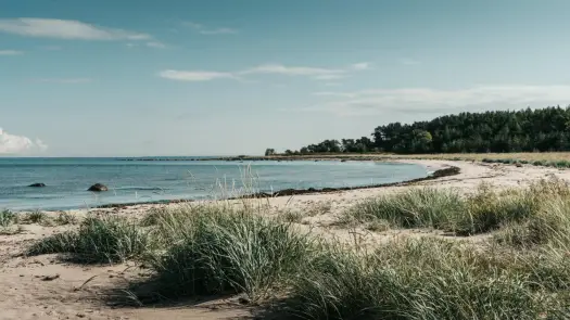 Gdańsk nad morzem - Która plaża pasuje do Twojego planu dnia?