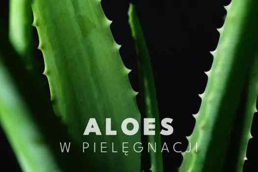 Aloes na twarz - kiedy pomaga i jak używać go bez błędów