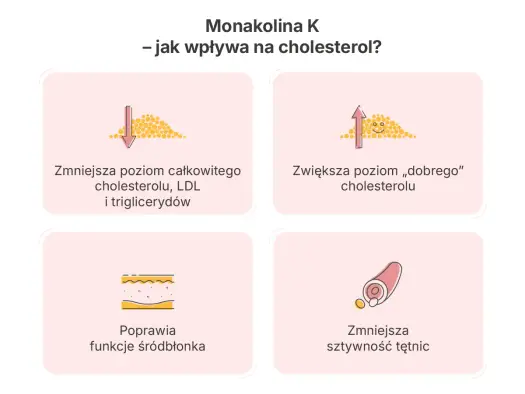 Monakolina K - czy na pewno wiesz, jak działa na cholesterol?