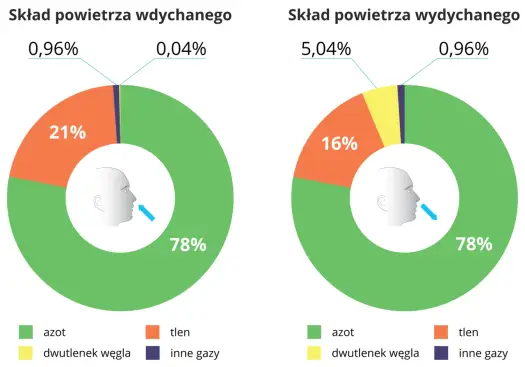 Skład powietrza: Co naprawdę wdychamy?