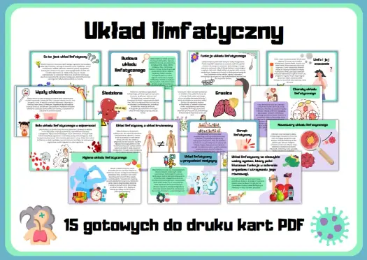 Układ limfatyczny - Co to jest i kiedy wymaga uwagi?