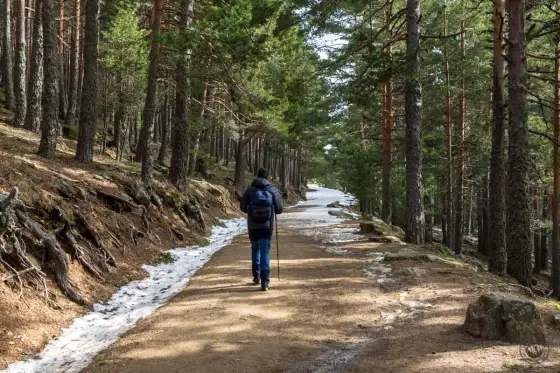 Puerto de Cotos - Tu guía completa para Peñalara sin complicaciones