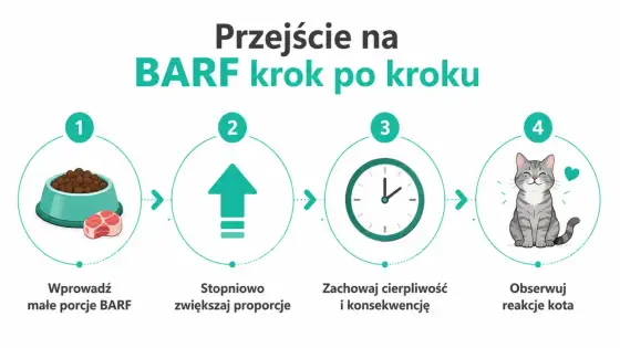BARF dla psa i kota - czy to naprawdę zdrowe? Pełny poradnik