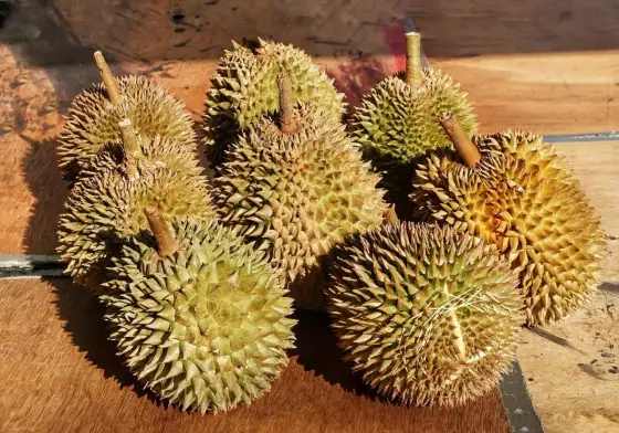 Durian - śmierdzący owoc czy zdrowy deser? Kalorie i wartości