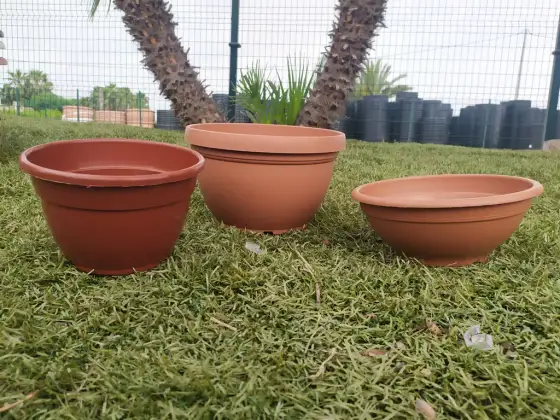 Cómo elegir la mejor pintura para macetas de barro y evitar errores