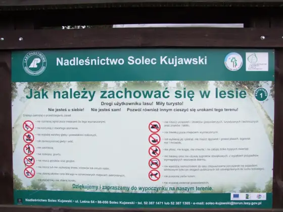 Mapa dróg leśnych i polnych - jak planować dojazd do atrakcji