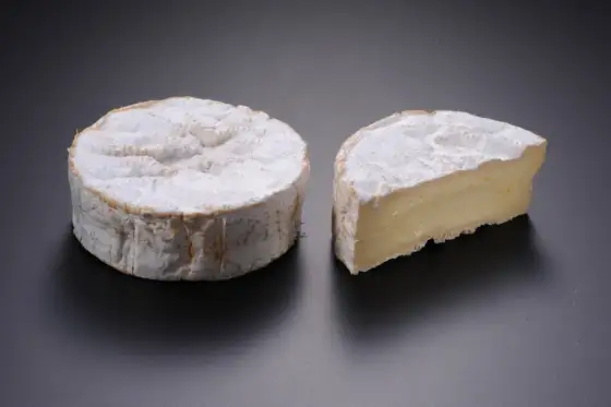 Top 10 fromages connus - Choisissez, servez et accordez-les !