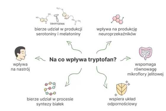 Tryptofan na sen i nastrój - kiedy ma sens i jak go stosować