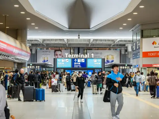 Wiza do Japonii - Czy Polak potrzebuje? Sprawdź!