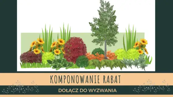 Gotowe projekty rabat - jak wybrać, by nie żałować?