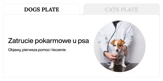 Objawy zatrucia u psa - Jak je rozpoznać i co zrobić od razu?
