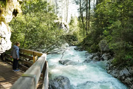 Zauberwald am Hintersee - Rundweg, Anreise und Tipps