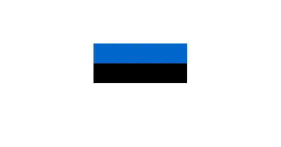 Niebiesko czarno biała flaga - jak odróżnić Estonię od Botswany?
