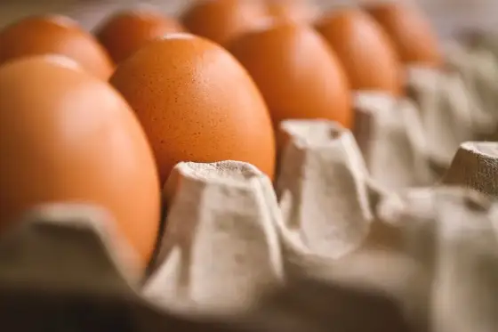 Skorupki jaj dla psa - Kiedy pomagają, a kiedy szkodzą?