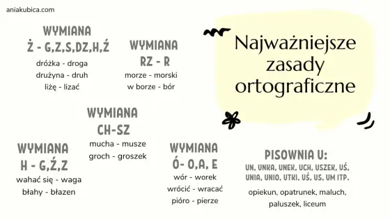 Nieraz czy nie raz - Jak pisać poprawnie? Proste testy i przykłady