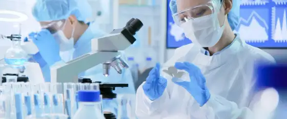 Virologie studieren - Wege, Inhalte und Berufschancen