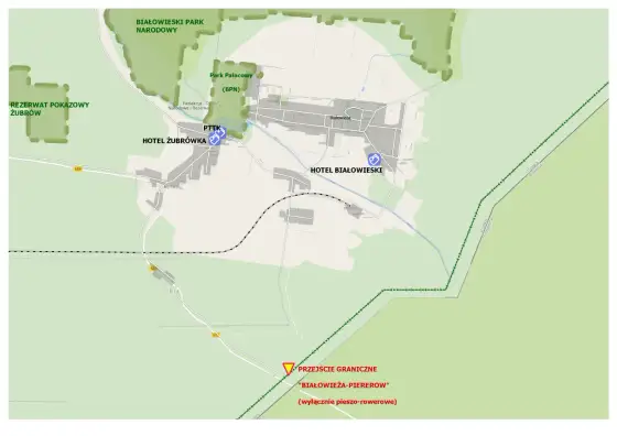 Puszcza Białowieska - Plan wizyty bez biegania po lesie