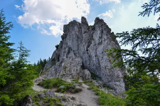 Gęsia Szyja - Tatry w pigułce? Szlak, widoki, porady