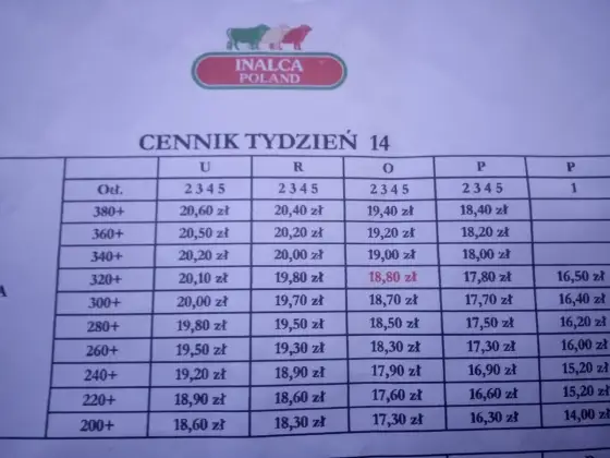 Skup bydła Sokołów - Cennik. Jak sprzedać drożej?