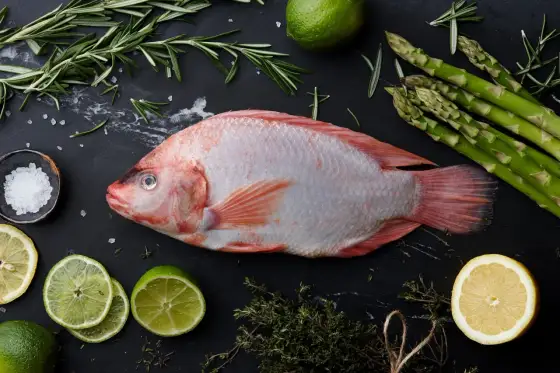 Tilapia - Co to za ryba i czy jest zdrowa? Sprawdź, czy warto ją jeść