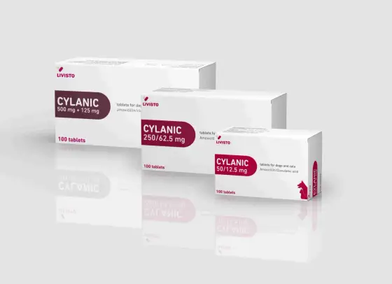 Cylanic dla psa - Antybiotyk czy trucizna? Sprawdź, co leczy!