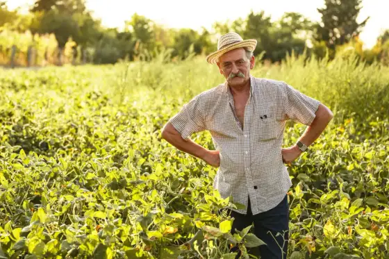 Renta KRUS a ziemia - Kiedy grunt nie blokuje świadczenia?
