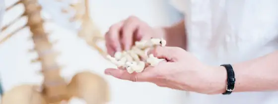 Osteoporoza: do jakiego lekarza się udać i jak uniknąć powikłań?