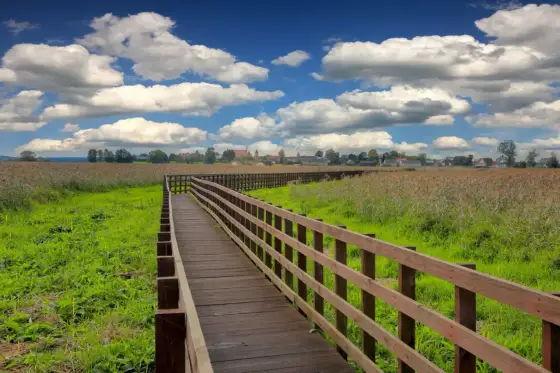 Podlasie na pierwszy raz - gdzie jechać, by nie gonić atrakcji