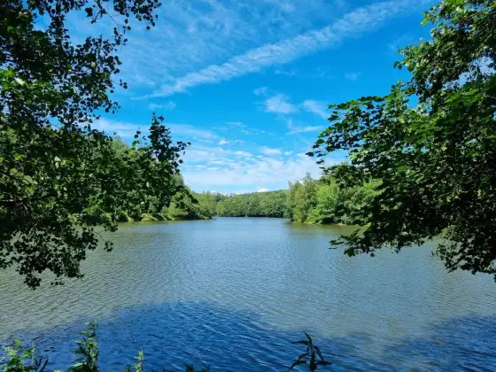Wupper Ausflug - Die besten Ziele & Tipps für deine Tour