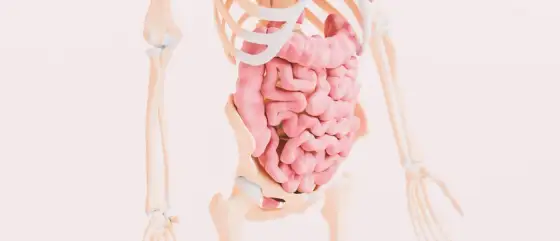 Celiakia - objawy, diagnostyka i dieta bezglutenowa