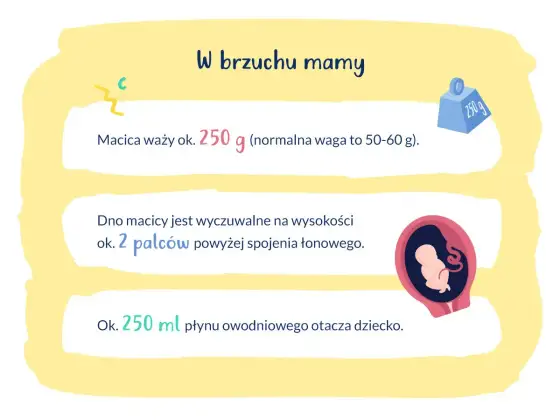16 tydzień ciąży - 4 miesiąc? Co dzieje się z mamą i dzieckiem