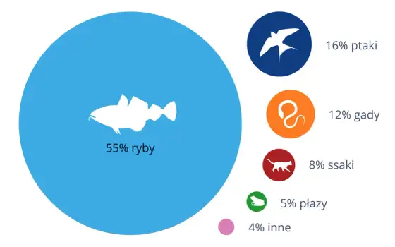 Ile jest gatunków ryb? Liczby, fakty i polskie wody