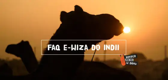 Wiza do Indii - e-Visa czy tradycyjna? Uniknij błędów!