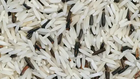 Czy ryż basmati nadaje się do risotto? Oto, co musisz wiedzieć