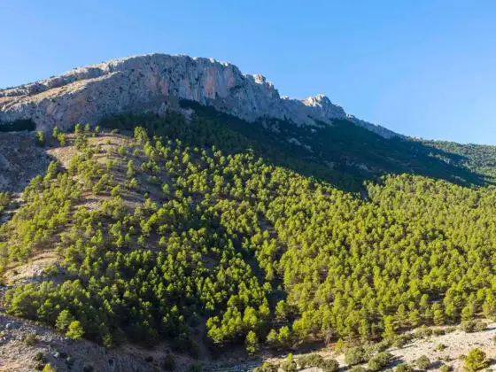 Sierras de Almería - ¿Cuál elegir para tu escapada perfecta?