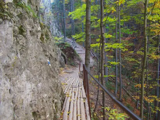 Pieniny - Jak zaplanować wejście na Trzy Korony i Sokolicę?