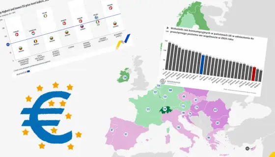 Ile kosztuje europejski krótkowłosy? Całkowity koszt posiadania