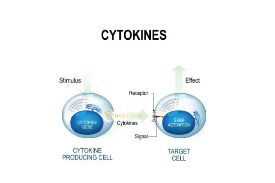 Cytokiny - czym są i kiedy zaczynają szkodzić?