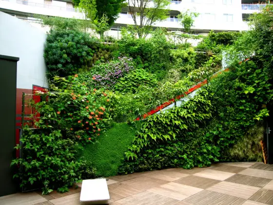 Muro verde: guida completa per un giardino verticale di successo