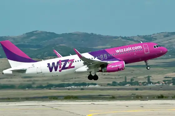 Pies w Wizz Air - Czy poleci? Zasady i wyjątki!