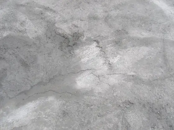 Ile schnie chudziak - Kiedy wejść na budowę i jak uniknąć pęknięć?