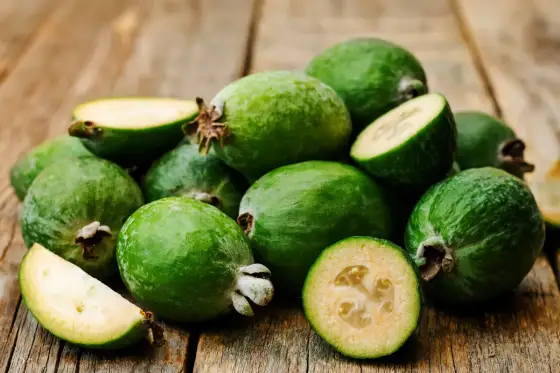 Feijoa - Quando fruttifica? La guida definitiva