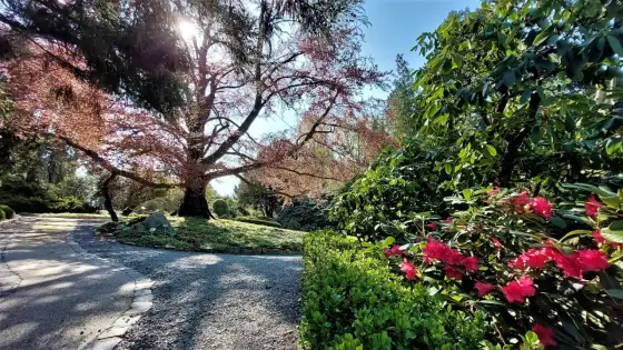 Arboretum Wojsławice - Kiedy jechać, by zobaczyć najwięcej?