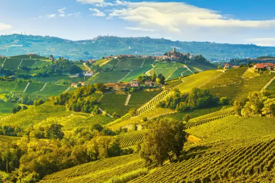 Langhe e Monferrato - Guida completa per esplorare le colline